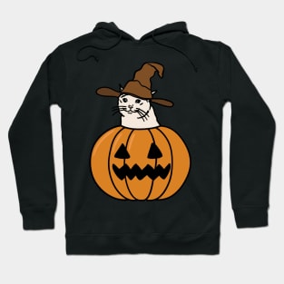 Crying Cat Meme In Pumpkin For Halloween Hoodie